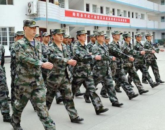 民兵肩章，荣耀与责任的象征，民兵肩章，荣耀与责任的独特标志
