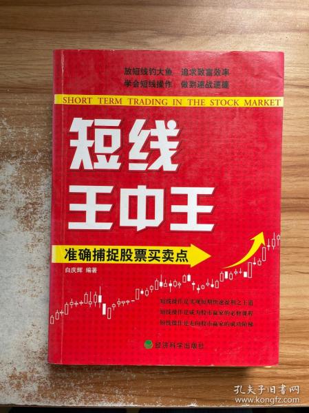 王中王平特一肖必，探索卓越之路，王中王平特一肖，卓越之路探索