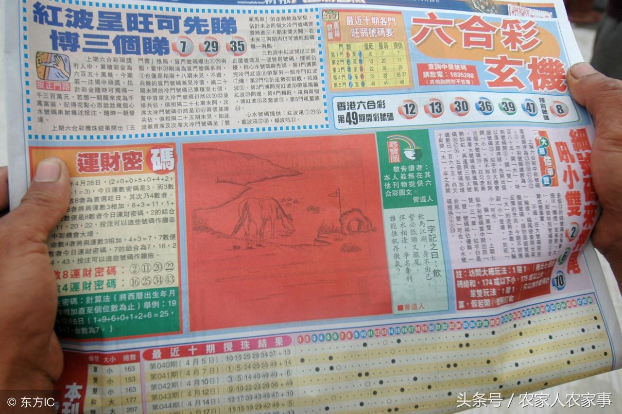 曾夫人王中王精准一肖，揭秘神秘预测背后的故事，揭秘曾夫人王中王精准预测生肖背后的故事