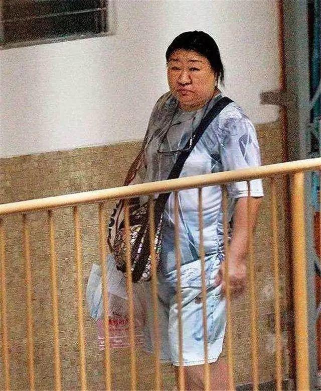 澳门四不像正版四不像网，探索与解析，澳门四不像正版探索与解析，揭开神秘面纱