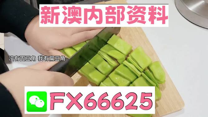 新澳精准资料免费提供的深度解析与实际应用，新澳精准资料深度解析与免费应用指南