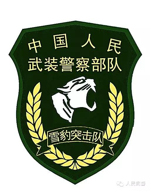 国宾护卫队臂章高清，荣耀的象征与职责的展现，国宾护卫队臂章高清，荣耀与职责的象征