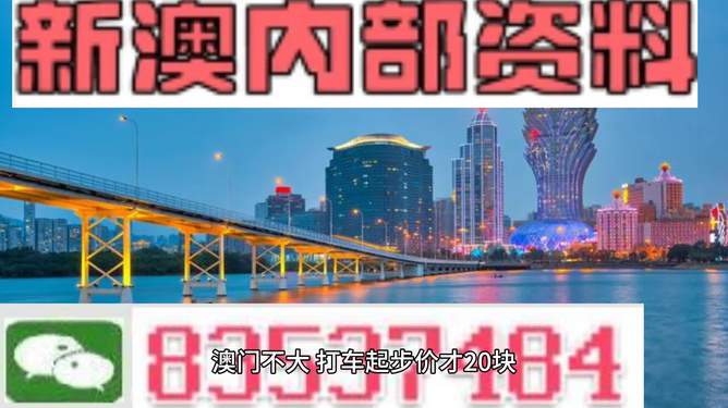 澳门资料大全，探索未来的奥秘与魅力（2025版）免费分享，澳门资料大全，揭秘未来魅力与奥秘（2025版免费分享）