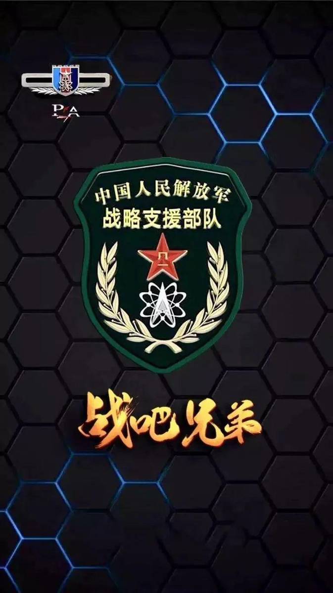 战略支援部队的内涵与外延，一支多元化的力量，战略支援部队，多元化力量的内涵与外延