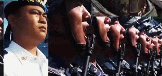 中国人民解放军兵种概述，中国人民解放军兵种概览