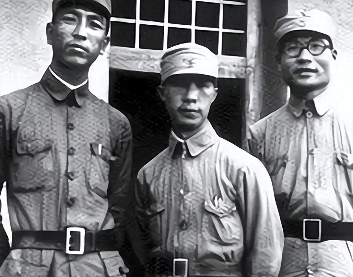 海南岛战役的重要意义，海南岛战役，揭示其深远意义与重要性