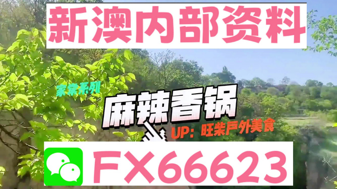 新澳精准资料免费提供的深度解析与实际应用，新澳精准资料深度解析与免费应用指南