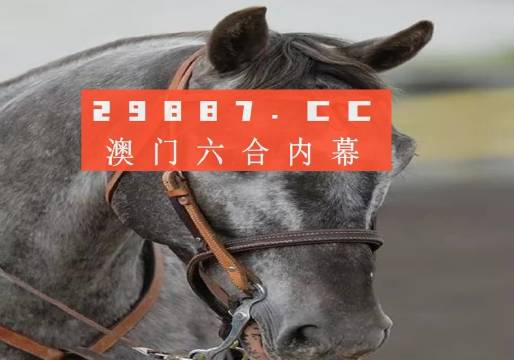 今晚澳门精准一肖一马，探寻幸运的秘密，今晚澳门精准一肖一马，探寻幸运之门背后的秘密
