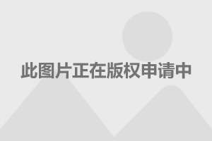 直-18的发动机，探索中国航空工业的骄傲，直-18发动机，中国航空工业的璀璨明珠