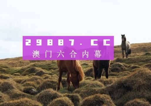 澳门4949开奖结果最快四不像揭秘，澳门4949开奖结果揭秘，最快四不像开奖真相