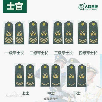 中国的军衔等级及标志图，最新图片解读，中国军衔等级与标志图解读，最新图片概览