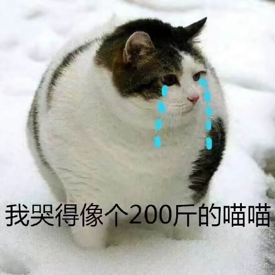 澳门一码一肖一待一中四不像