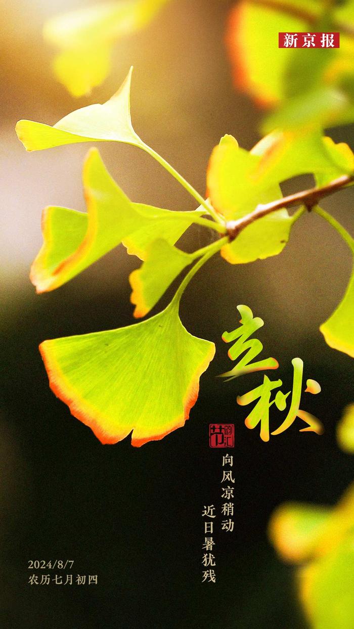 今日立秋，时光流转中的季节更迭，立秋时节，季节更迭的时光流转