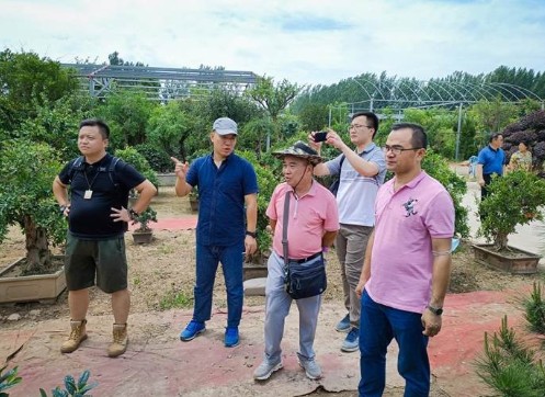 房晓峰个人资料详解，房晓峰个人资料深度解析