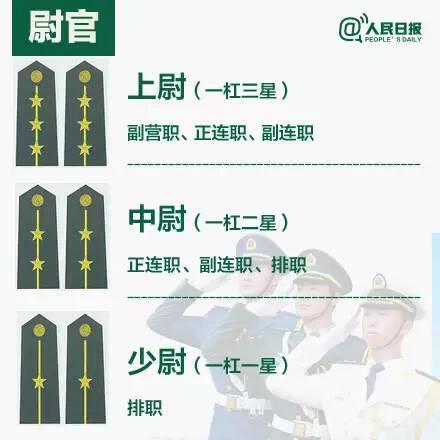 上将