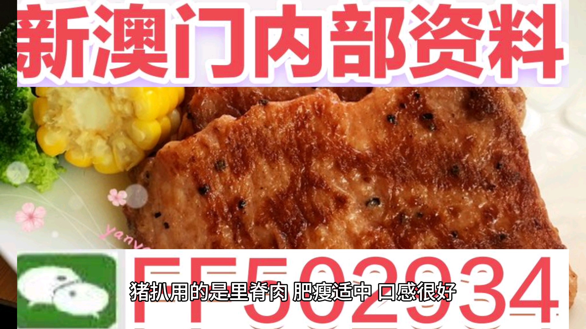 澳门码今晚开什么特马——探索澳门彩票的奥秘，澳门彩票特马揭秘，今晚开什么特马？
