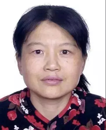 丁小军的级别，多维度解析一个成功者的层级，丁小军的层级，多维度透视成功者的格局