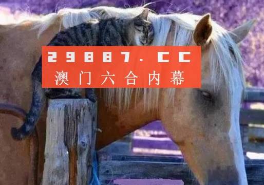 澳门必中一肖一码四不像，探索背后的神秘与真相，澳门必中一肖一码四不像背后的神秘与真相揭秘