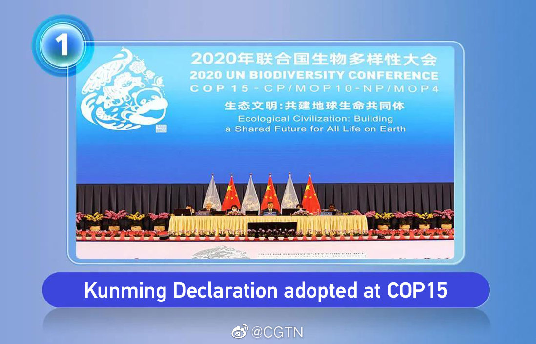 国际时事新闻最新2021概览，国际时事新闻概览，最新2021年动态回顾