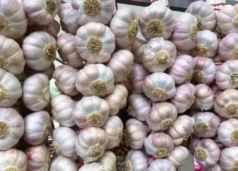 无人植保机前10名品牌，引领农业科技的革新力量，无人植保机前10名品牌引领农业科技革新
