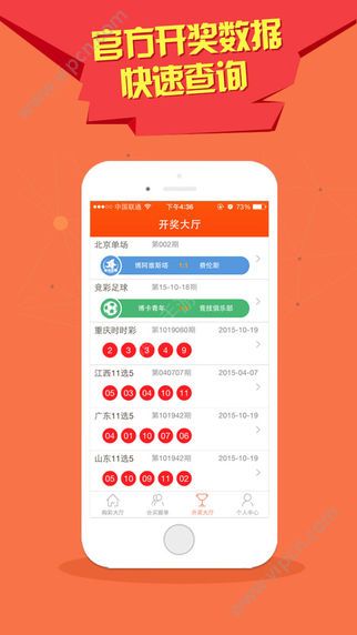新澳历史开奖记录查询结果深度解析，新澳历史开奖记录查询结果深度剖析