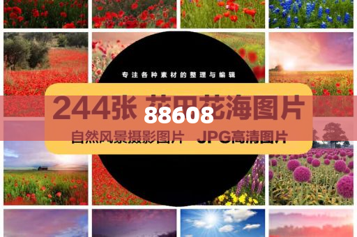 迈向信息透明化的未来，2025正版资料免费公开的探索与实践，迈向信息透明化未来，2025正版资料免费公开的探索与实践