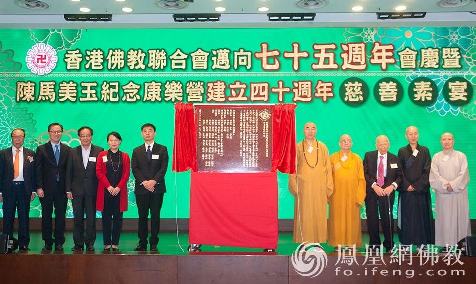深度解析/深度解读报告