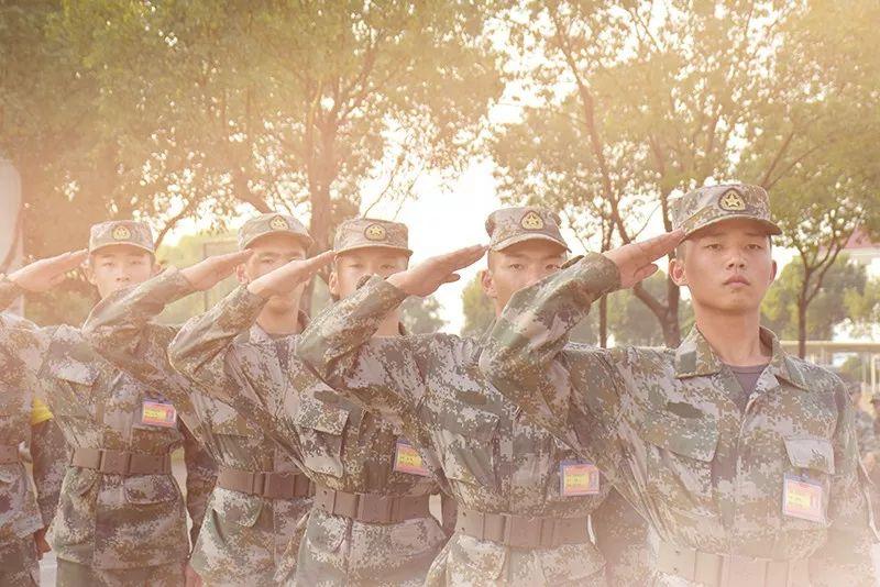 新兵三个月考核标准，塑造优秀军事人才的基石，新兵三个月考核标准，塑造军事优秀人才的坚实基础