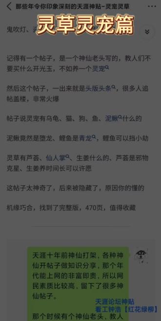 天涯论坛中的灵宠与灵草，神秘世界的探索与发现，天涯论坛的灵宠与灵草，神秘世界的探索与发现之旅