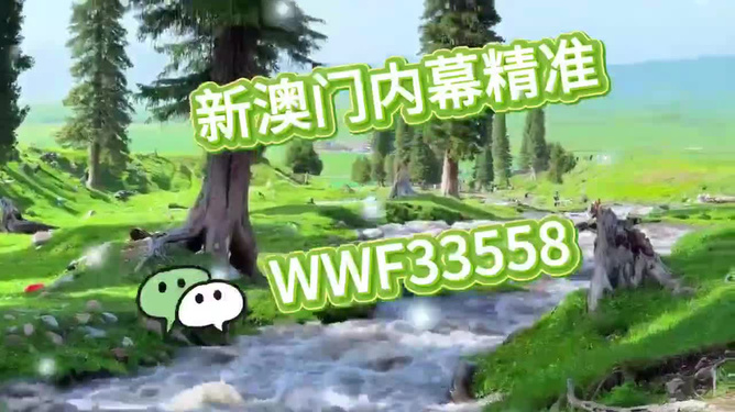 特马王中王一肖一马，探寻传奇中的王者风范，探寻传奇王者风范，特马王中王一肖一马揭秘