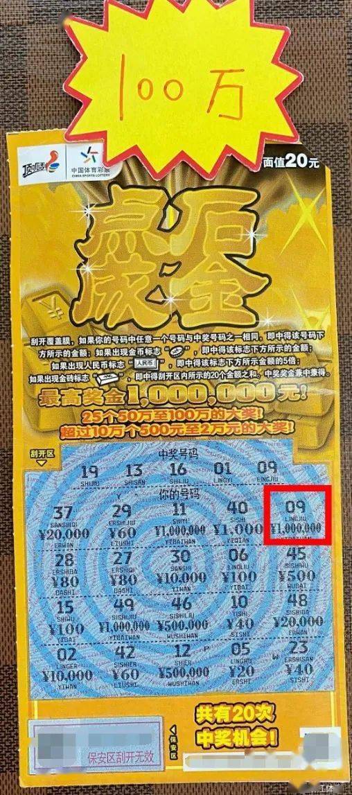 王中王美人鱼平特一肖，神秘与传奇的交融，神秘与传奇的交融，王中王美人鱼平特一肖