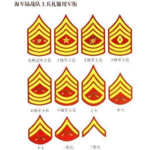 美国海军军衔标志图片及其体系概述，美国海军军衔标志图片与体系概述简介