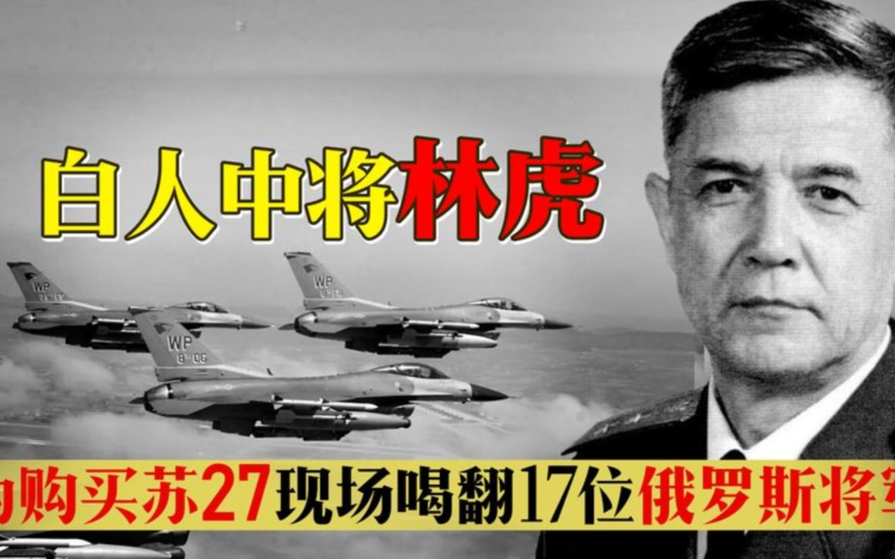 中国进口苏-27战斗机的深度解析，中国进口苏-27战斗机的深度剖析与影响