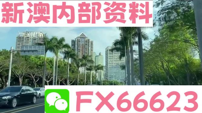 新澳精准资料免费提供，探索第221期的奥秘与价值，新澳第221期精准资料揭秘，免费探索奥秘与价值