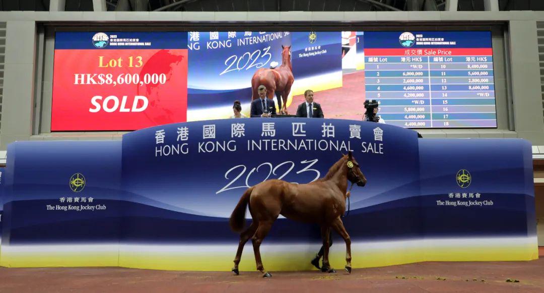 揭秘香港马会彩票开奖记录——探寻2023年精彩瞬间，揭秘香港马会彩票开奖记录，探寻精彩瞬间，揭秘未来大奖（2023年）