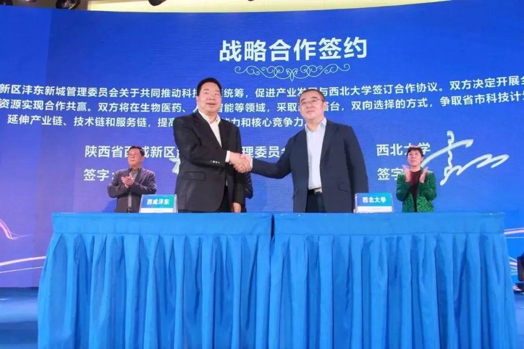 中国空军当前的发展水平，实力展现与未来展望，中国空军实力展现，当前发展水平与未来展望