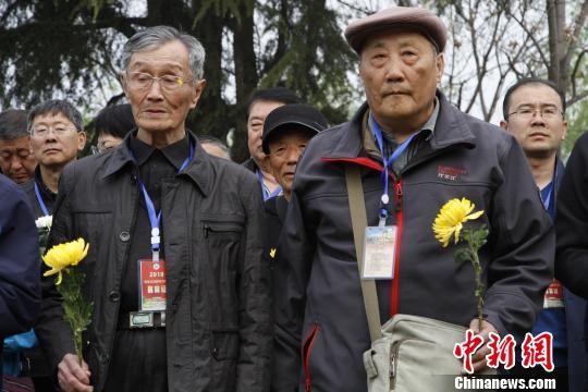 国民革命军第二集团军，历史沿革与贡献，国民革命军第二集团军，历史沿革与卓越贡献
