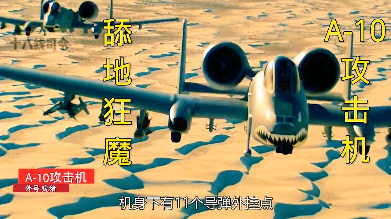 揭秘A-10疣猪攻击机的价格及其价值，揭秘A-10疣猪攻击机的价格与其价值所在
