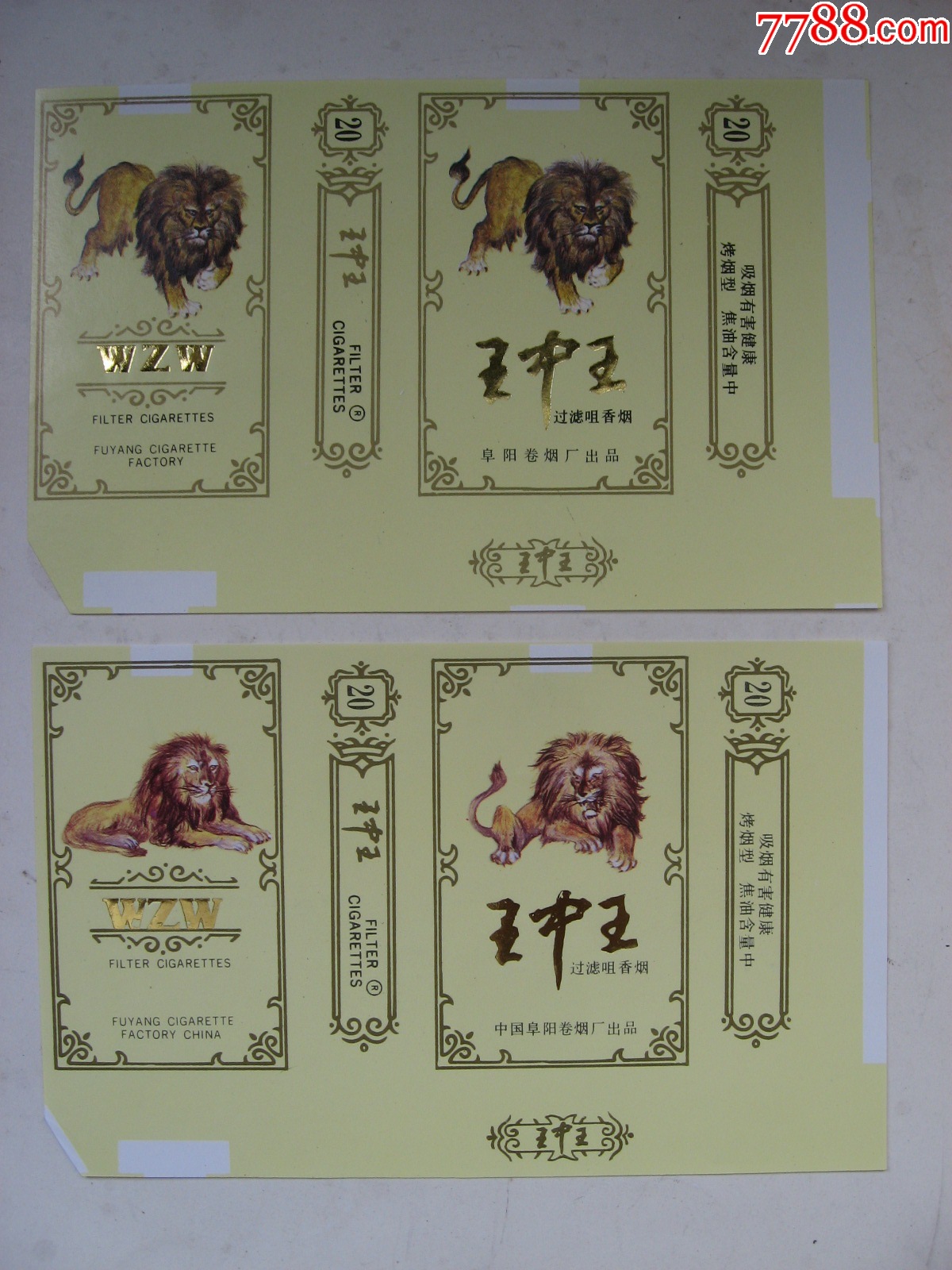 王中王与肖一码大公的开端，探索神秘数字世界的启示，王中王与肖一码，神秘数字世界的探索启示