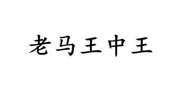 王中王一句解一肖王——探寻神秘文化符号背后的深意，探寻神秘文化符号王中王一句解一肖王背后的深意