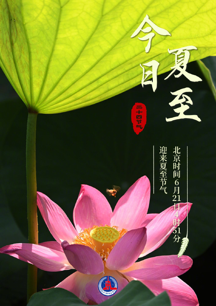 今日夏至，探寻自然的韵律与生活的节奏，夏至探寻，自然韵律与生活节奏同步前行