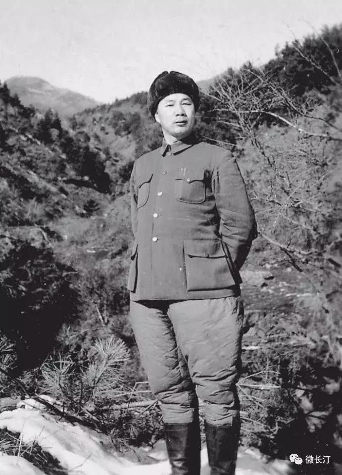 成都军区第十四集团军狼牙，荣耀与传承的力量，成都军区第十四集团军狼牙，荣耀传承的力量之战