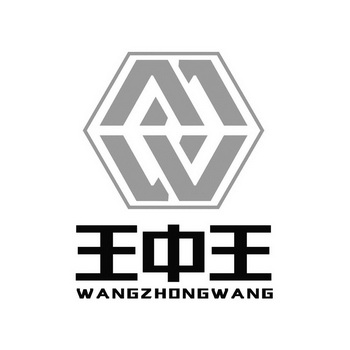 王中王精选一肖头——探寻成功之秘诀，王中王精选一肖头，成功秘诀探寻