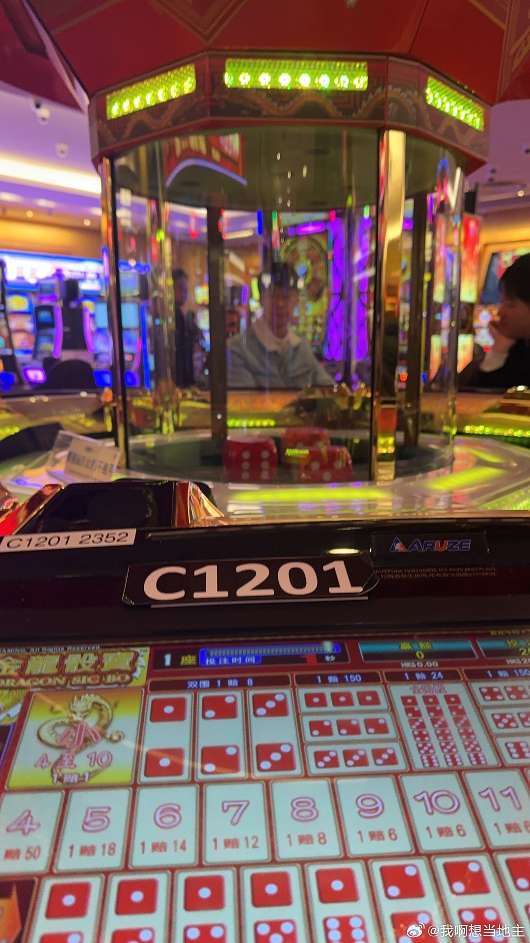 独特魅力与神秘色彩揭秘