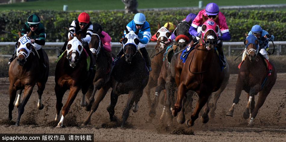 二王中王一肖，历史、文化、艺术的交融与传承，二王中王一肖，历史、文化与艺术的交融传承之旅