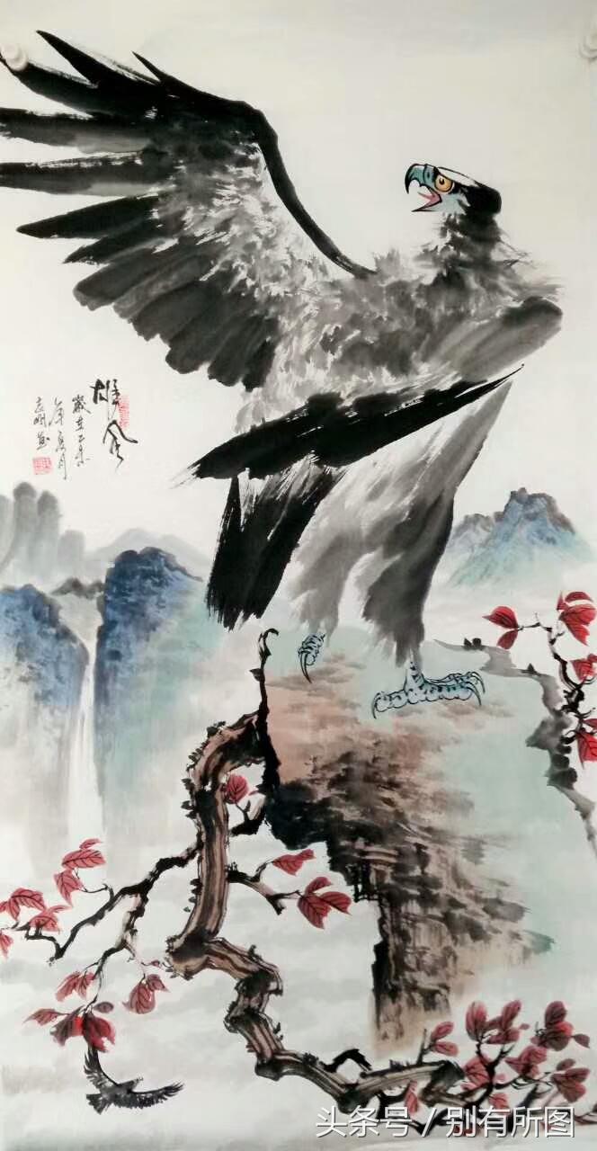 真实雄鹰图片的魅力与启示，真实雄鹰图片，魅力展现与启示思考