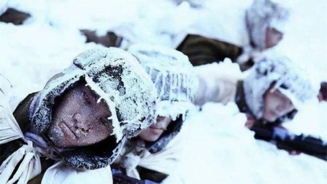长津湖战役冻死人数，历史的残酷与反思，长津湖战役冻死人数，历史的残酷教训与反思