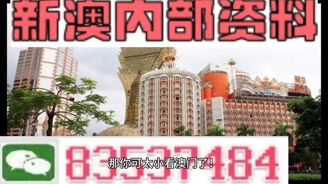 新澳门精准资料大全，探索与解读，新澳门精准资料大全，深度探索与解读