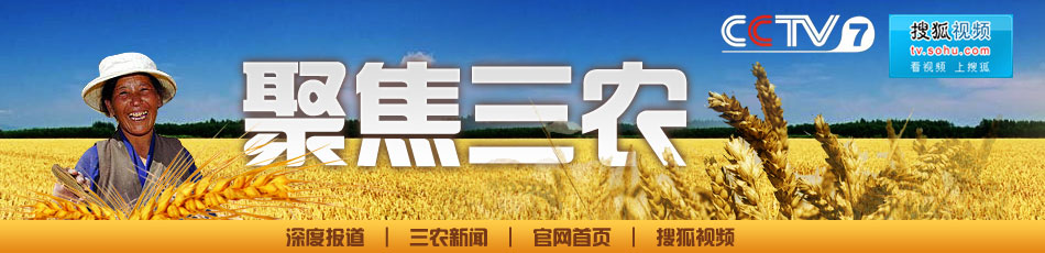 CCTV7聚焦三农广告，展现农业魅力，助力乡村振兴，CCTV7聚焦三农广告，展现农业魅力，乡村振兴助力行动启动