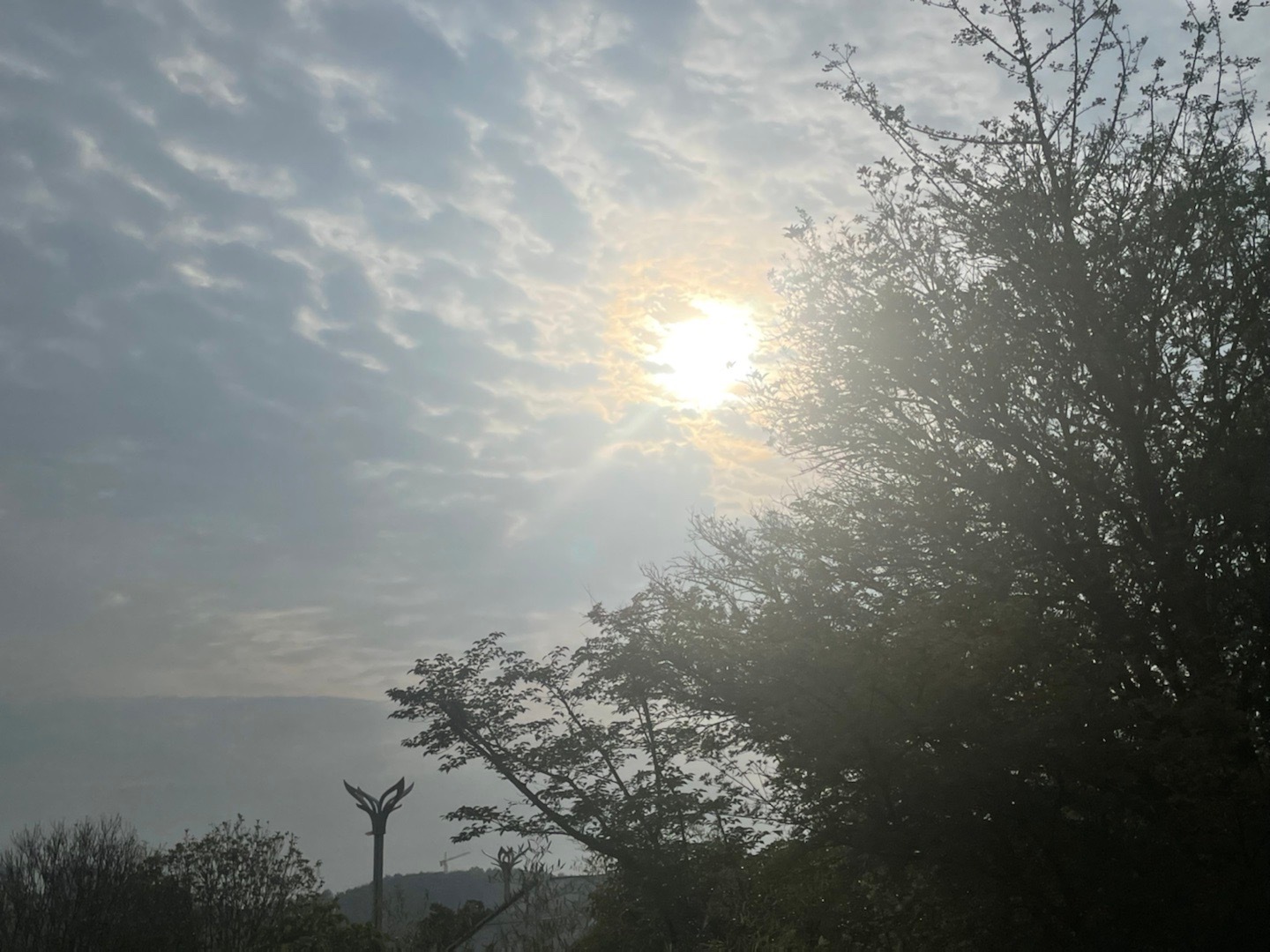 今天太阳很大，一种独特的天气体验与感悟，独特天气下的太阳体验与感悟